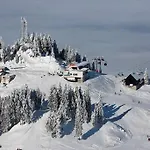 Charming In A Private Mountain Braşov