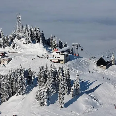 Charming In A Private Mountain Brašov