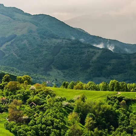 Vila Charming In A Private Mountain Brašov