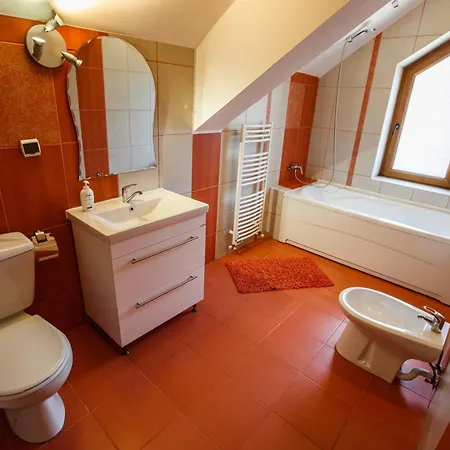 Charming In A Private Mountain Vila Brašov