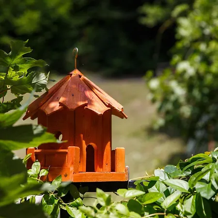 ヴィラ Charming In A Private Mountain