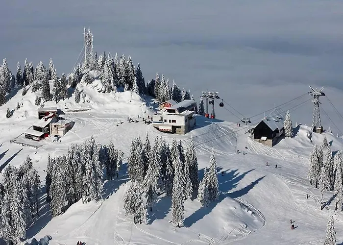 Charming In A Private Mountain Брашов