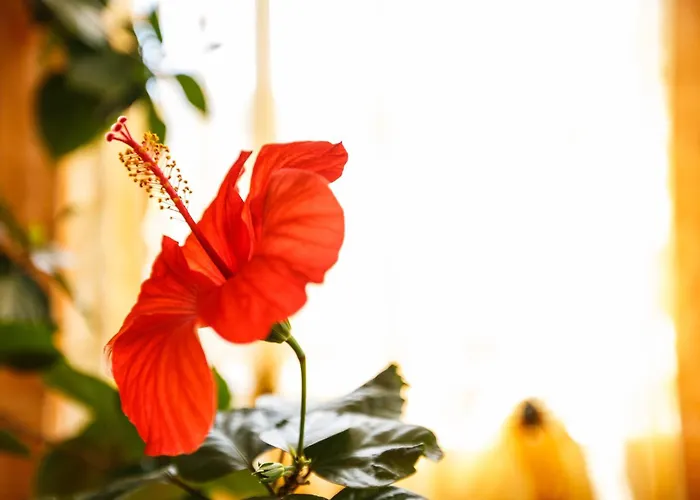 Charming In A Private Mountain Villa