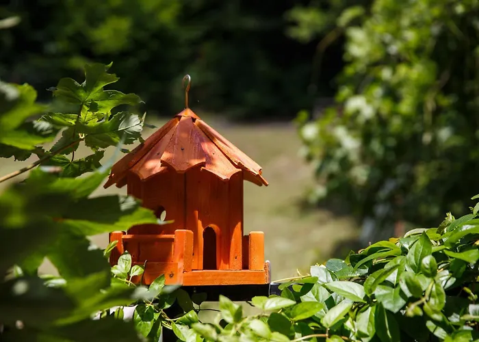 Вілла Charming In A Private Mountain